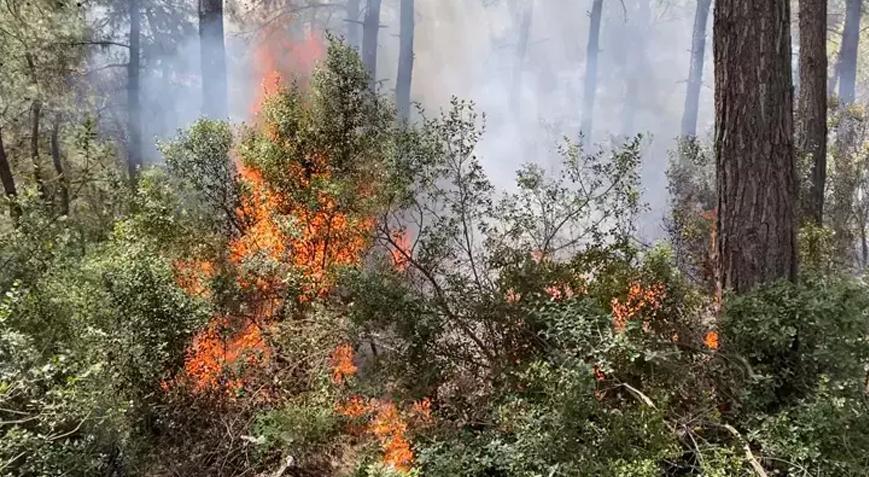 AKOM’dan ‘orman yangını’ uyarısı!
