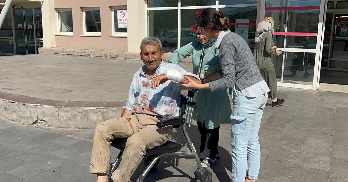 Bakan Koca: Bayramın ilk gününde yaklaşık 16 bin kişi kurban kesimi sırasında yaralandı – Haberler | Sağlık Haberleri