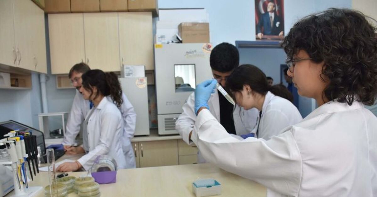 Bilimsel çalışma: Doğal İzmir kekiği antibiyotikten daha etkili – Haberler | Sağlık Haberleri