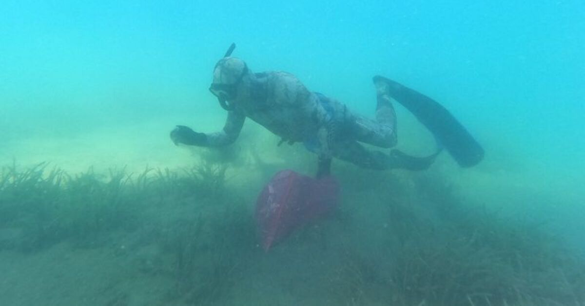 Bodrum'da dalgıçlar deniz dibinden 800 kilogram atık çıkardı – Güncel haberler