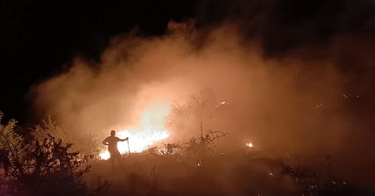 Elazığ'daki orman ve mera yangını kontrol altında | Son dakika haberleri