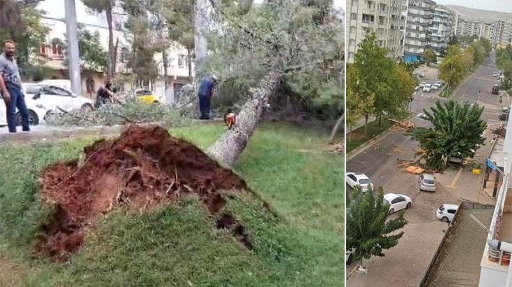 Gaziantep’te şiddetli rüzgar! Çatılar uçtu, ağaçları kökünden söküldü