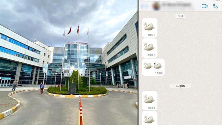 Hastanede ‘kuğu’lu skandalda yeni gelişme