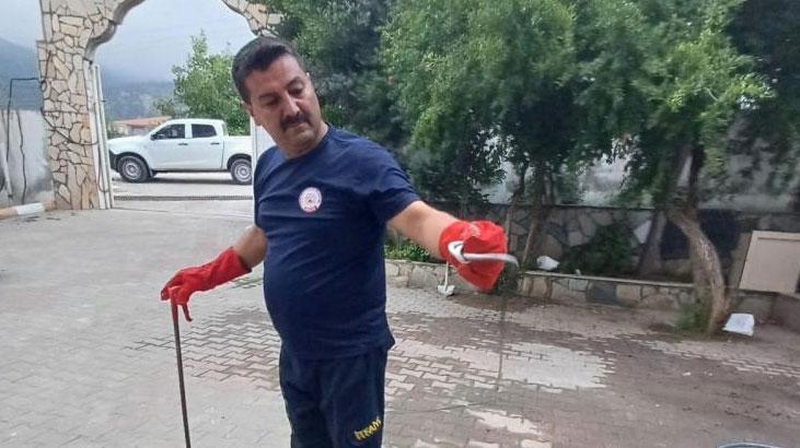 Hatay’da kız öğrenci yurdunda yılan paniği!