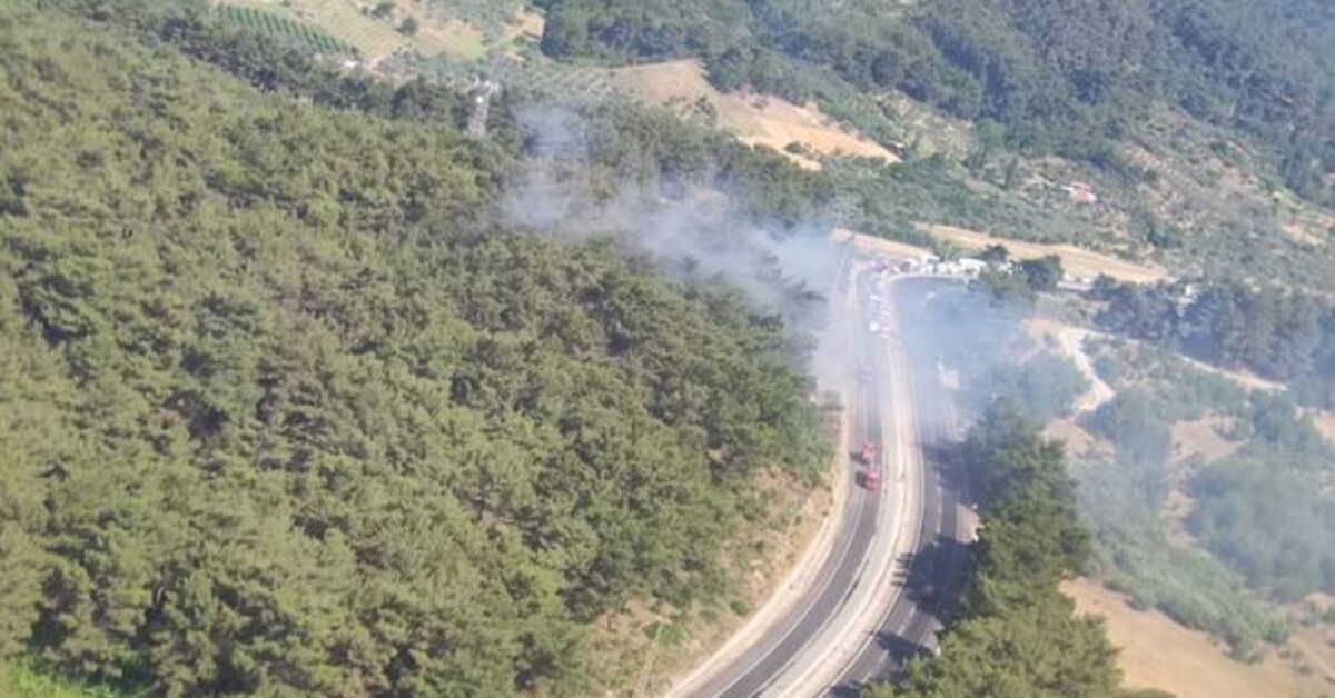 İzmir'de çıkan orman yangını kontrol altına alındı – Güncel haberler