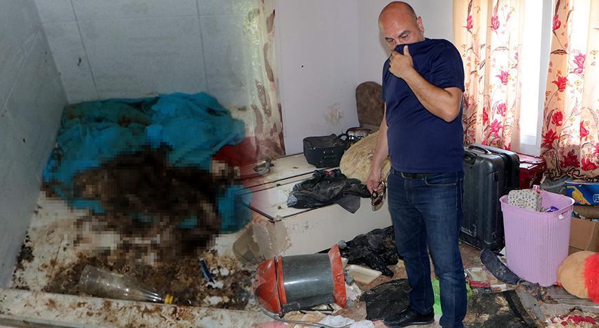 Mahkeme kararıyla evini tahliye ettirdi! Onlarca ölü kediyi görünce şoke oldu