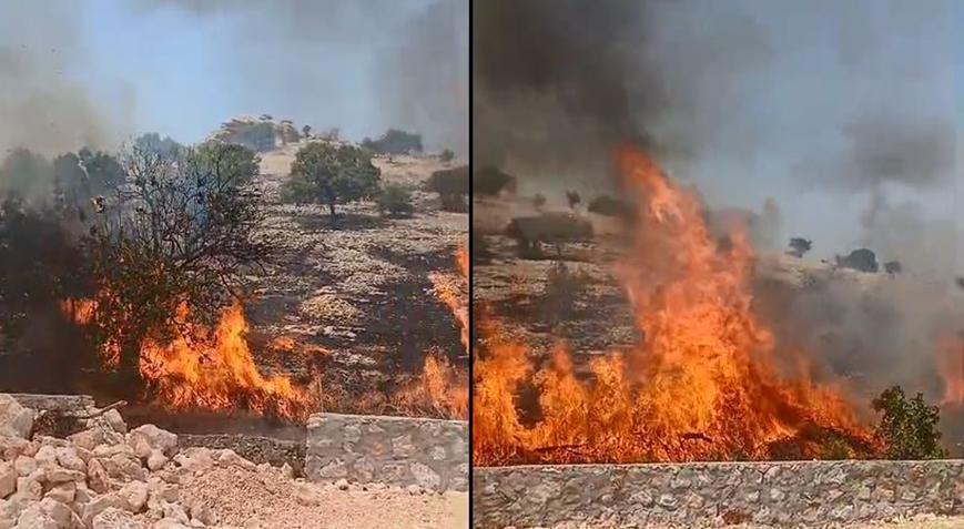 Mardin’de anız ve örtü yangını! Tonlarca saman balyası yandı