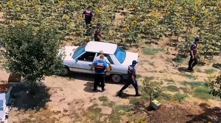 Tekirdağ’da hazine arazisine Hint keneviri eken şüpheli yakalandı