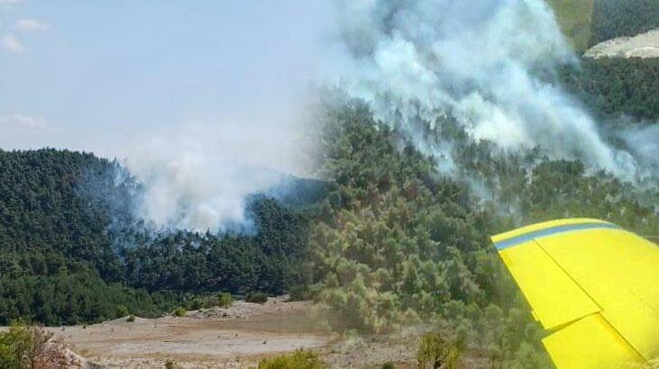Balıkesir’de 2 ilçede orman yangını! Rahatlatan haber geldi