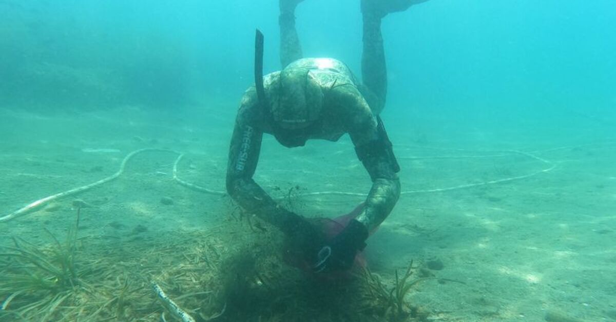 Bodrum'da dalgıçlar deniz dibinden 213 kilogram atık çıkardı – Güncel haberler