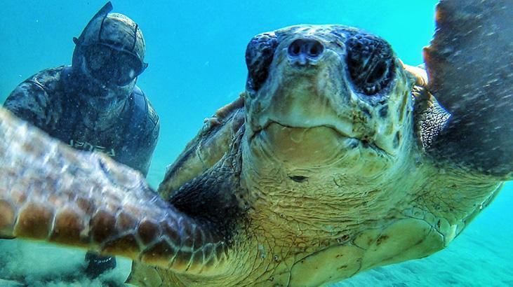 Çanakkale Boğazı’nda 7 metre derinlikte caretta caretta ile selfie
