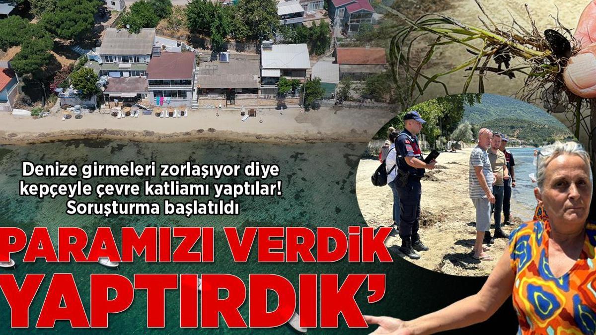 Denize girmeleri zorlaşıyor diye kepçeyle çevre katliamı yaptılar! Soruşturma başlatıldı