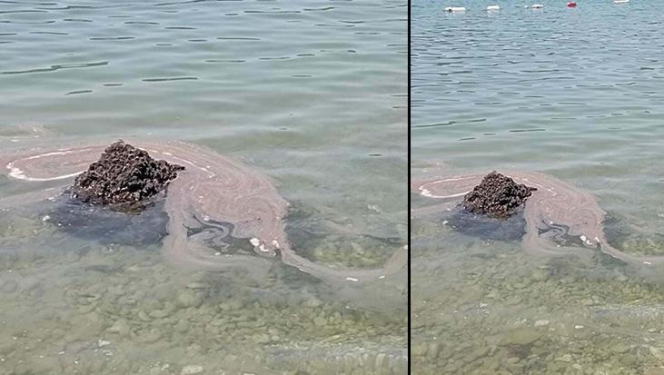 Dünyaca ünlü koyda tepki çeken manzara