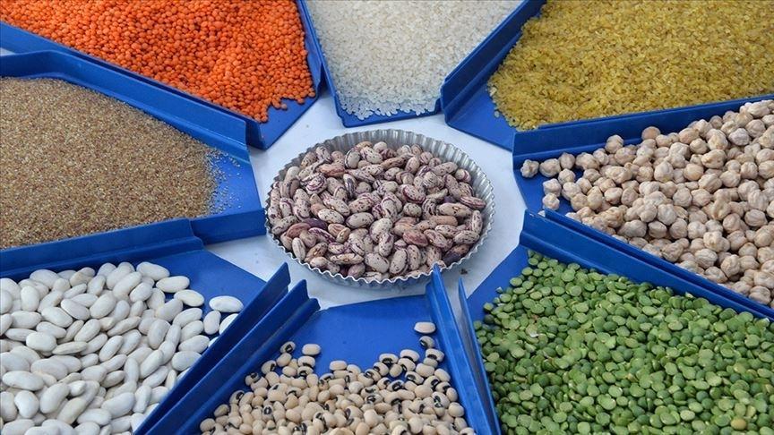 Güneydoğu’dan 1,6 milyar dolarlık hububat ihracatı