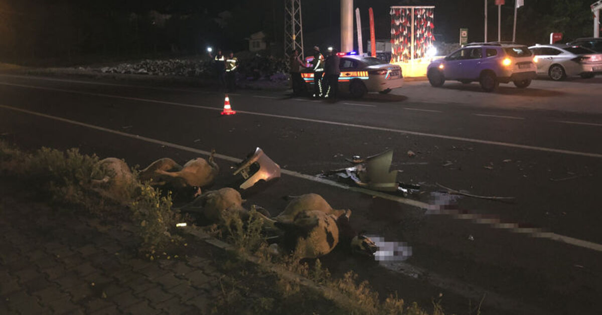 Kars'ta otomobil sürüye daldı! Sürü sahibi ile 6 koyun öldü | Son dakika haberleri