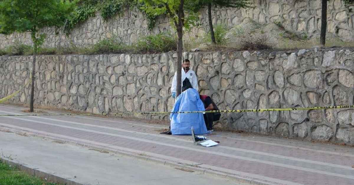 Malatya haberleri: İş adamı Mehmet Köse ağaca asılı bulundu – SON DAKİKA HABERİ | Son dakika haberleri