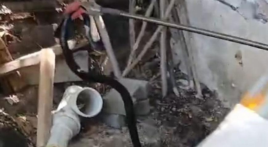 Malatya’da yılan paniği! Metrelerce uzunlukta evin bahçesinde görüldü