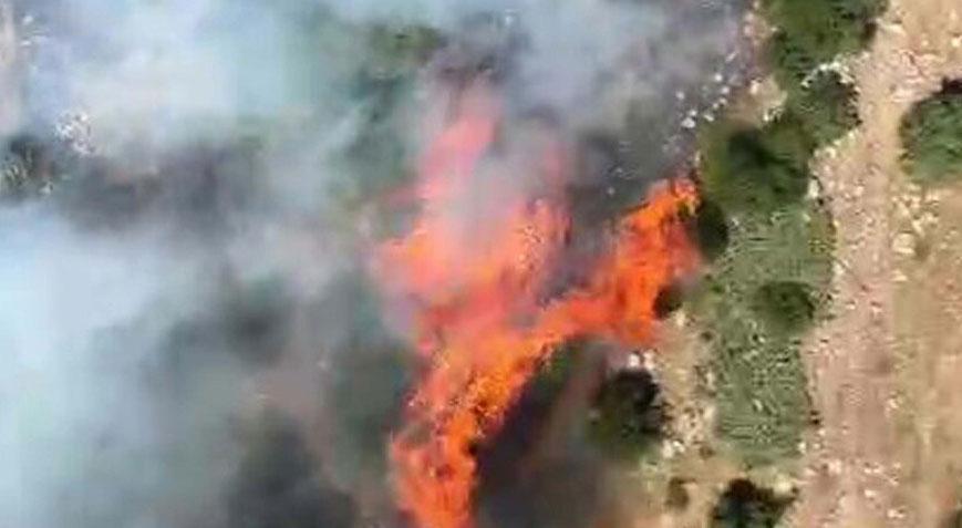 Manisa’da orman yangını! Müdahale devam ediliyor