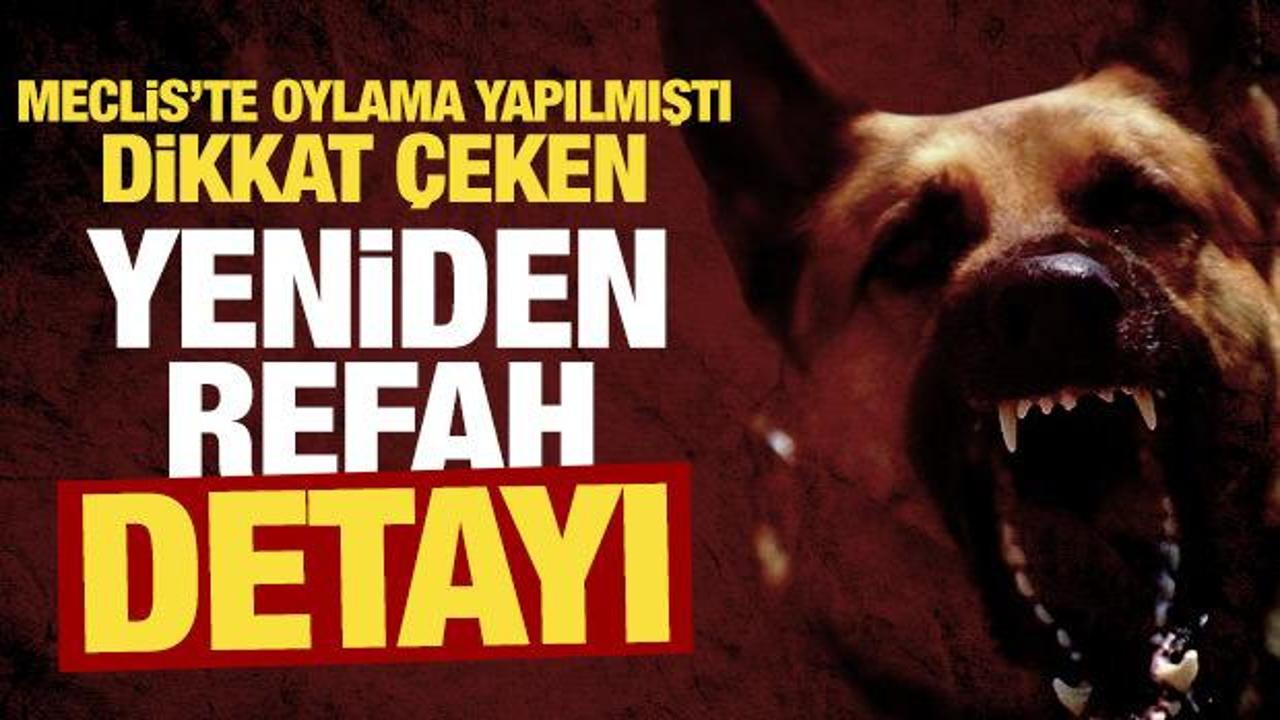 Meclis’teki sokak hayvanları oylamasında dikkat çeken Yeniden Refah Partisi detayı