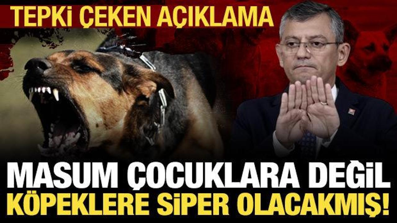 Özgür Özel’den ‘başıboş köpek’ çıkışı: Gerekirse siper oluruz