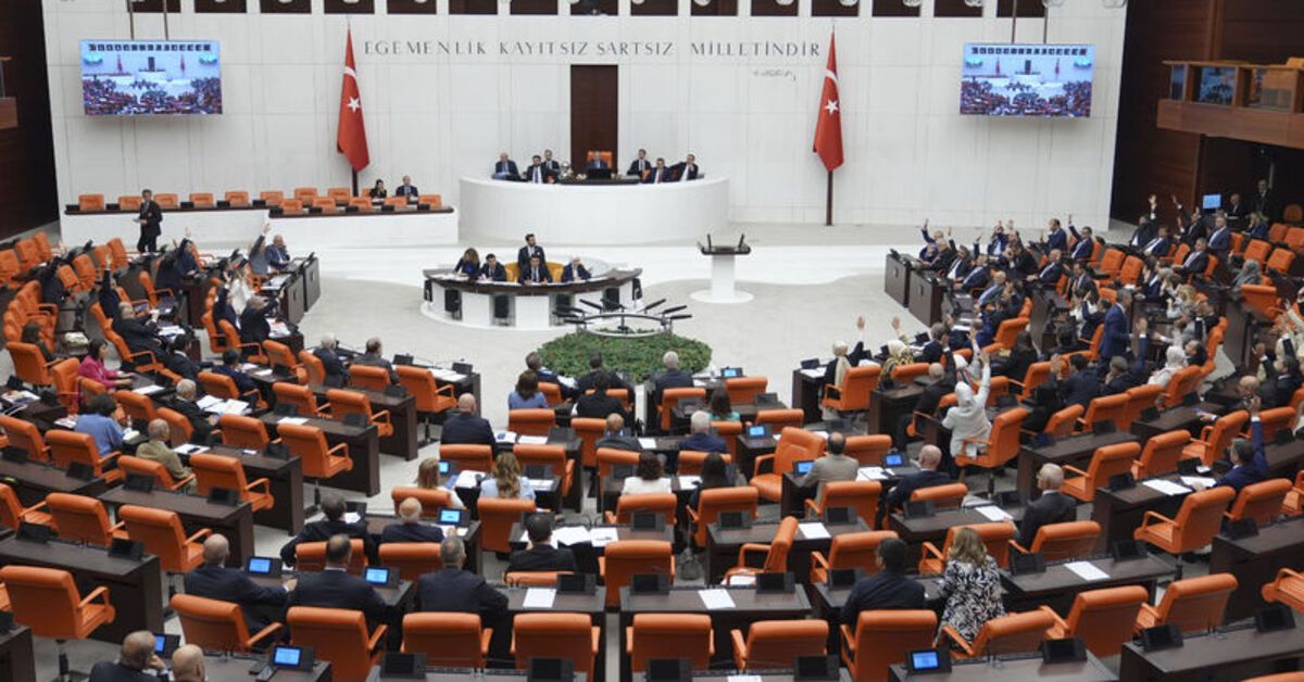 Sokak hayvanları düzenlemesinde ilk 5 madde TBMM Genel Kurulu'nda kabul edildi | Son dakika haberleri