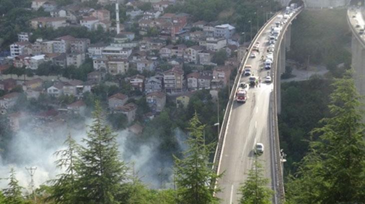TEM’deki otomobil yangını ağaçlara sıçradı! Kilometrelerce araç kuyruğu oldu