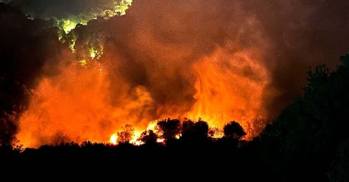 Ters çevrilen mangal ormanı yaktı! – Güncel haberler | Son dakika haberleri