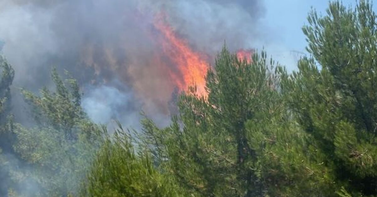Türkiye'de orman yangınları! Yangınlarda son durum!