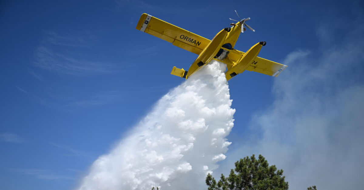 Türkiye'de orman yangınları! Yangınlarda son durum! – Güncel haberler