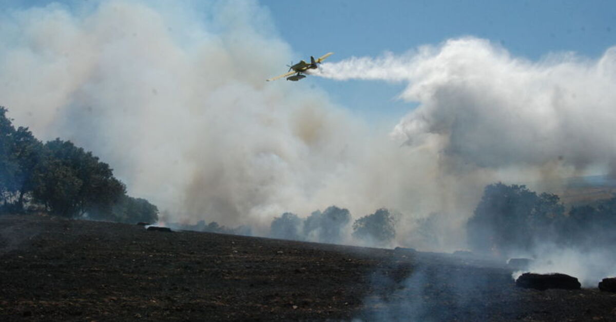 Türkiye'de orman yangınları! Yangınlarda son durum! – Güncel haberler