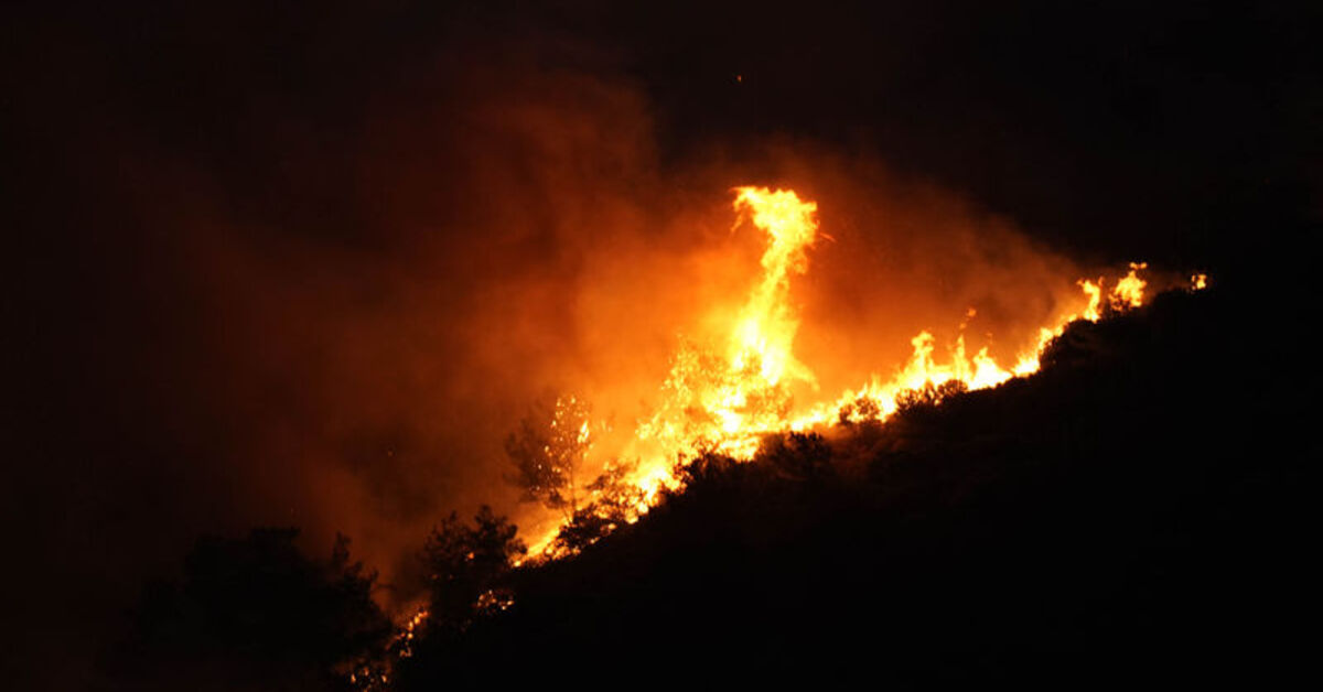 Türkiye'de orman yangınları! Yangınlarda son durum! – Güncel haberler