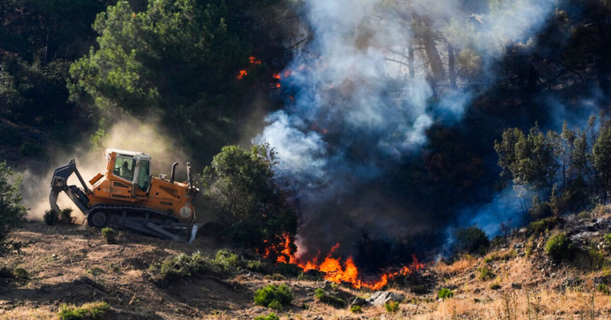 Türkiye'de orman yangınları! Yangınlarda son durum! – Güncel haberler