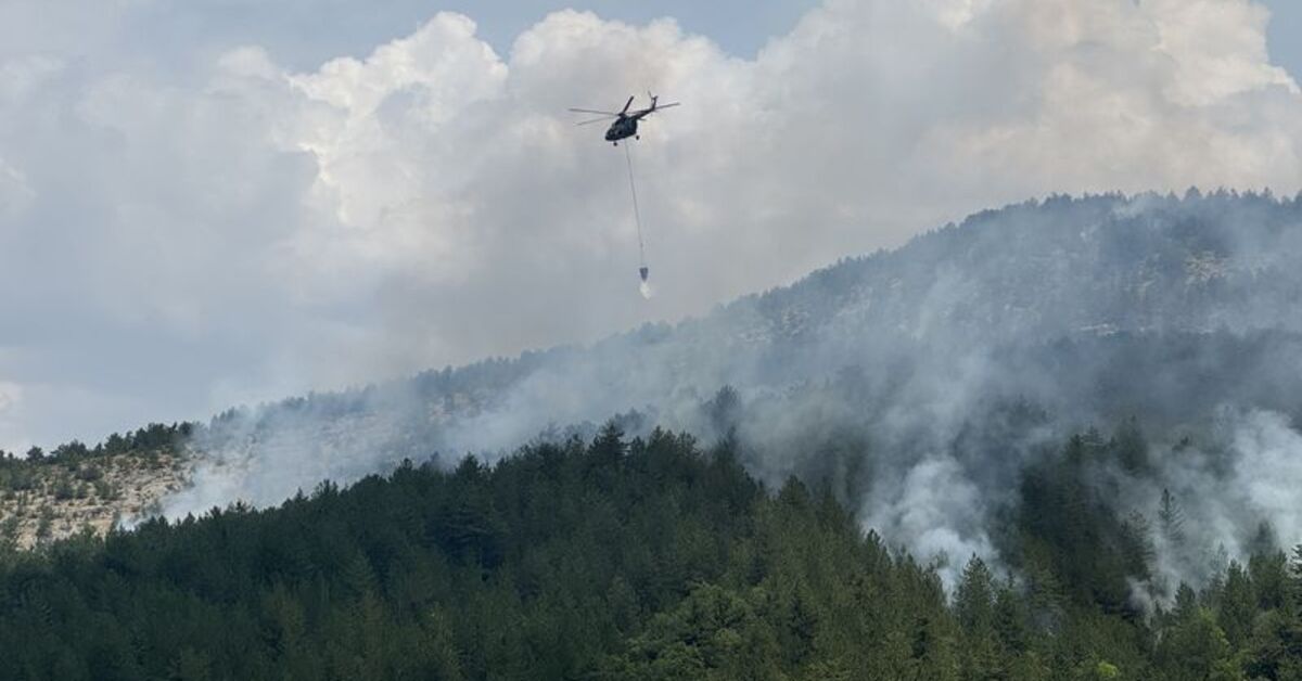 Türkiye'de orman yangınları! Yangınlarda son durum!