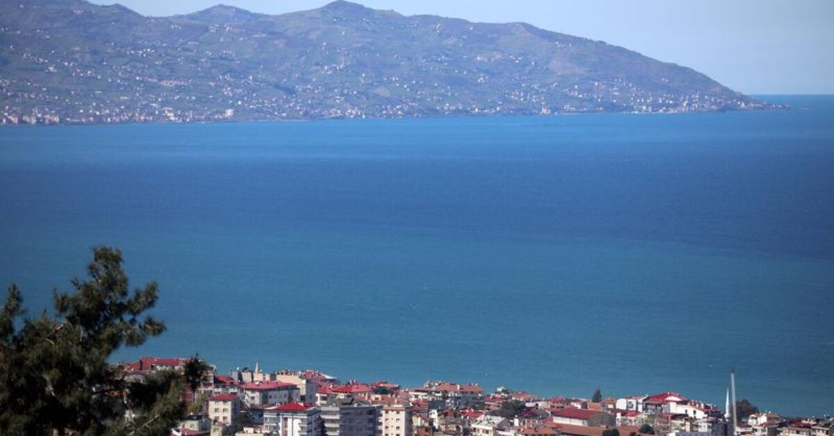 Uzmanı açıkladı! "Karadeniz ölüyor!" İşte nedeni… | Son dakika haberleri