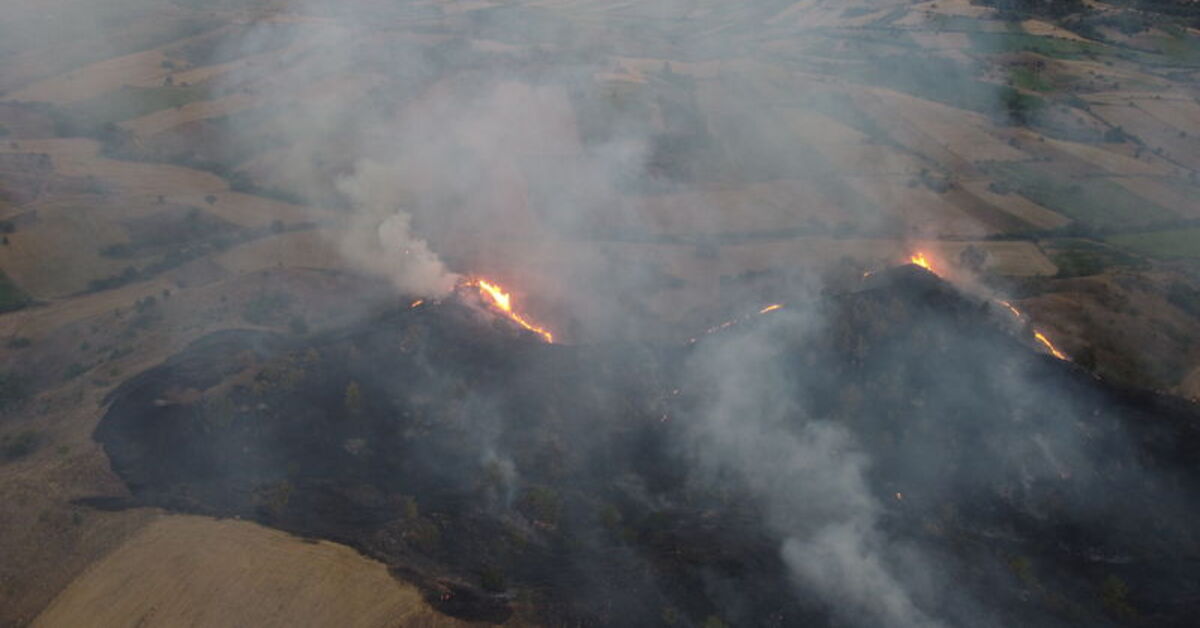 Bilecik'te çıkan orman yangını kontrol altına alındı – Güncel haberler