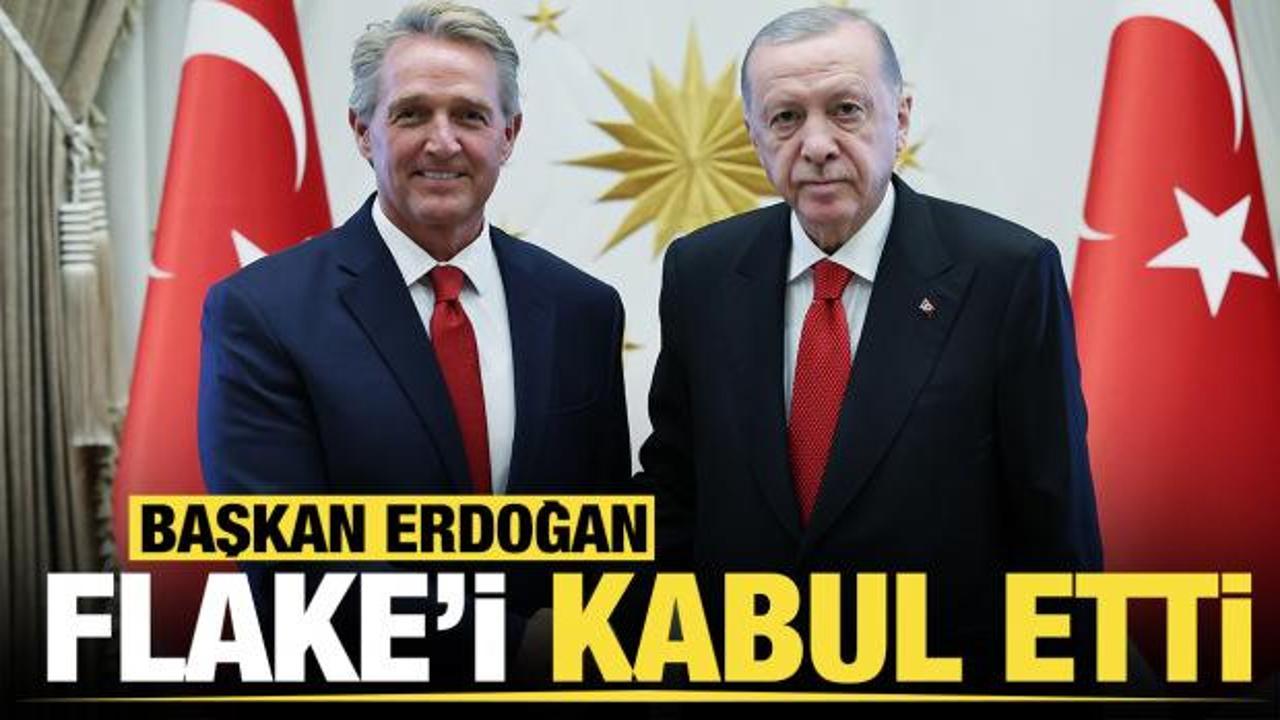 Cumhurbaşkanı Erdoğan, Jeff Flake ile görüştü