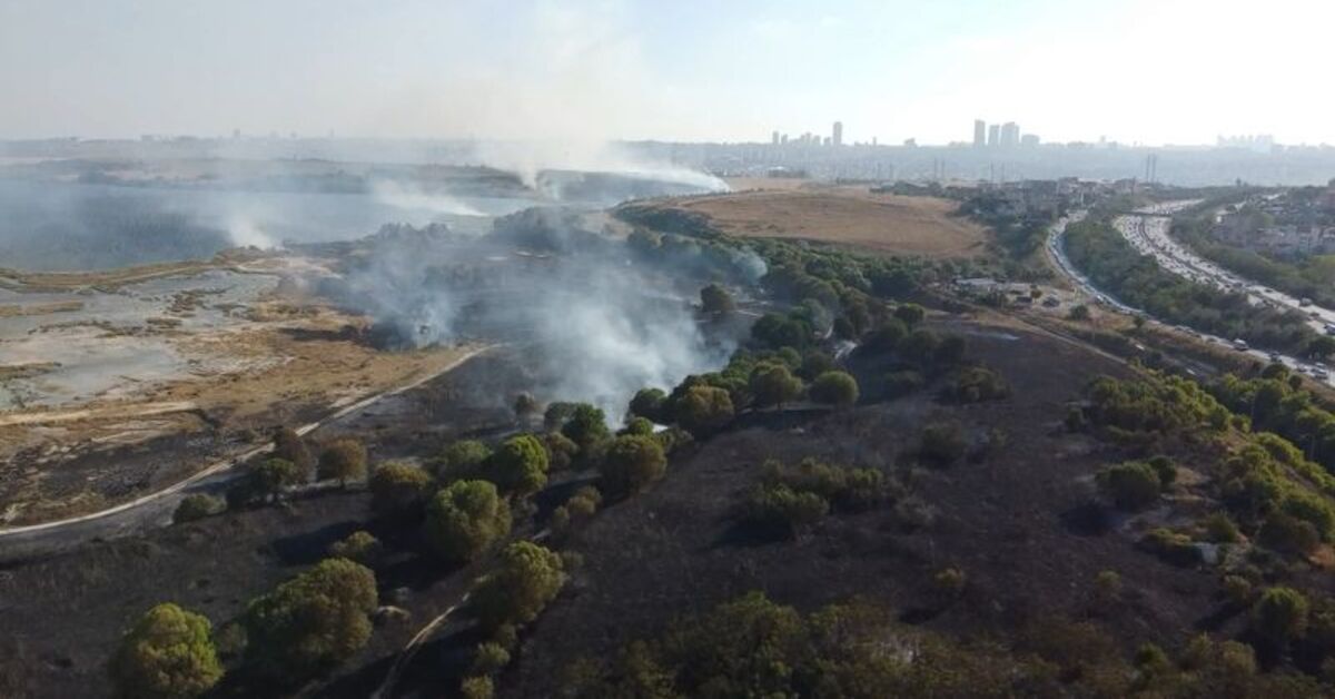 İstanbul'da 3 ilçede ağaçlık alan yangını | Son dakika haberleri