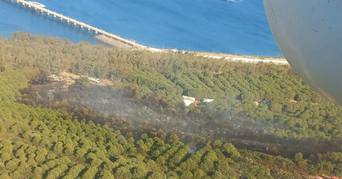 İzmir'de çıkan orman yangını kontrol altında – Güncel haberler