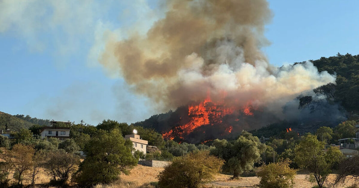 Manisa'da çıkan orman yangını kontrol altına alındı – Güncel haberler