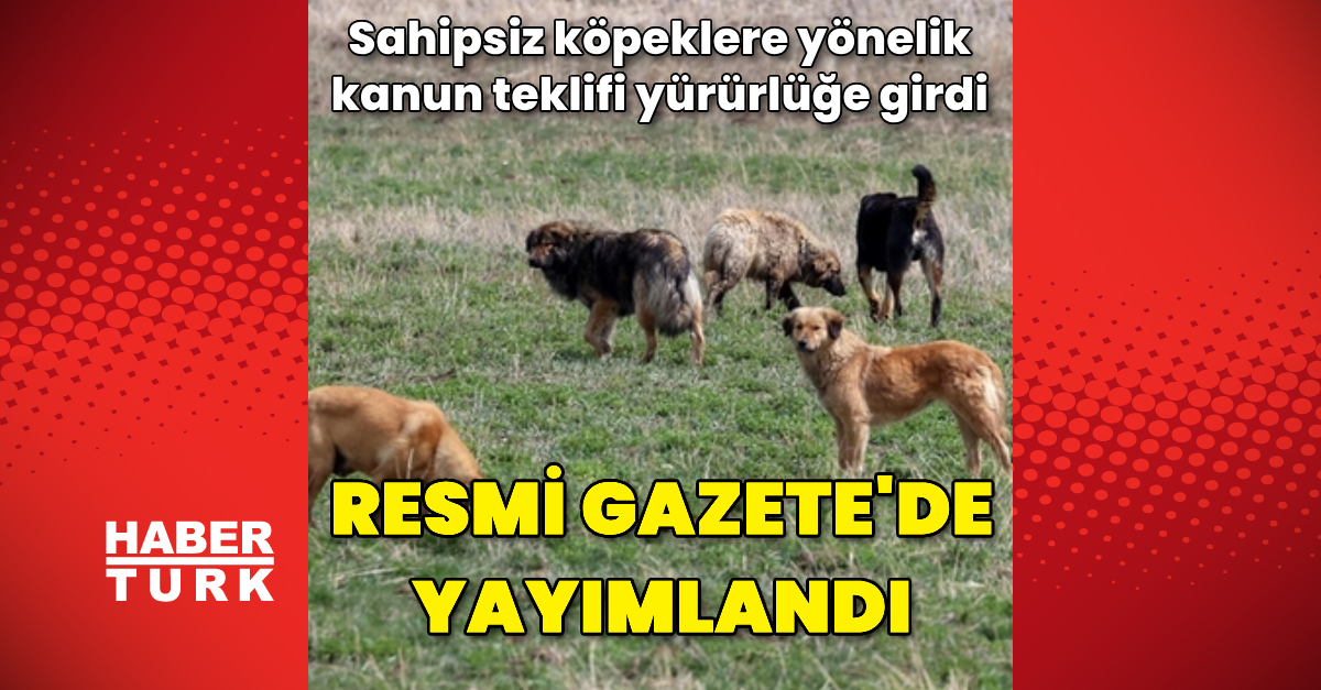Sahipsiz köpeklere yönelik kanun teklifi Resmi Gazete’de yayımlanarak yürürlüğe girdi.