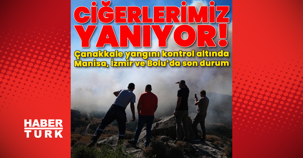 Son dakika: Orman yangınları sürüyor! Çanakkale, Manisa ve Bolu'da son durum | Son dakika haberleri