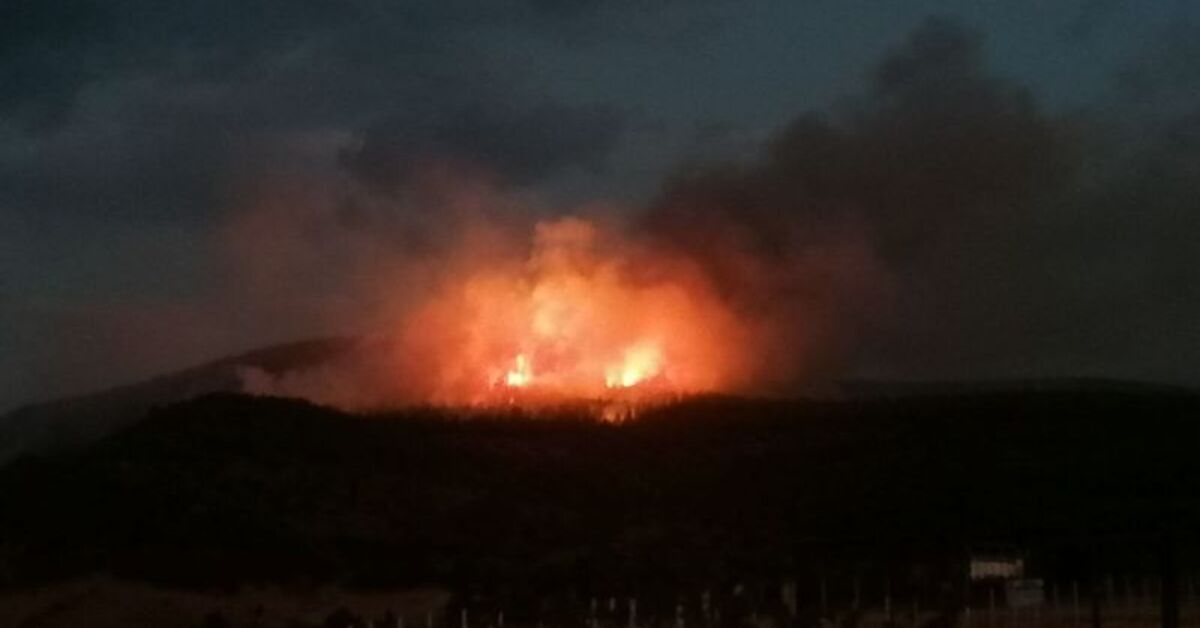 Türkiye'nin çeşitli bölgelerinde çıkan orman yangınlarında son durum! | Son dakika haberleri