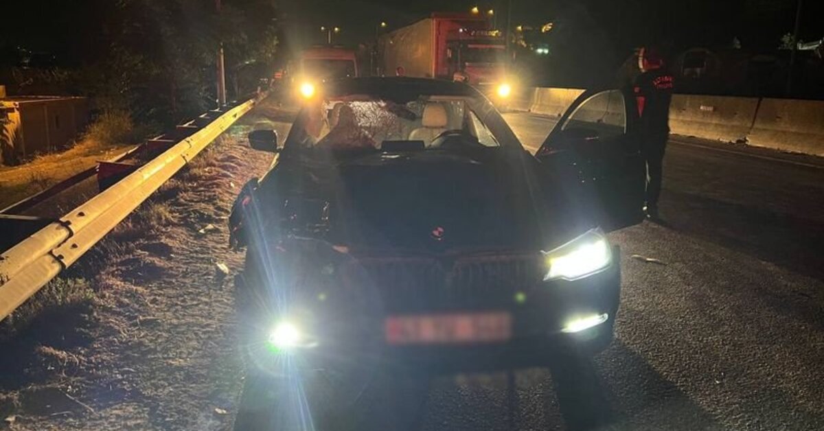 Yalova'da ehliyetsiz sürücünün çarptığı baba ve oğlu öldü | Son dakika haberleri