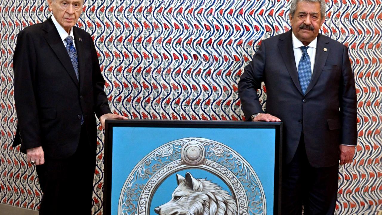 Bahçeli’ye bozkurt tablosu hediye edildi