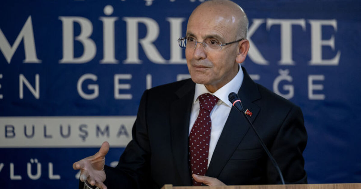 Bakan Şimşek: Karamsarlığa hiç gerek yok – İş-Yaşam Haberleri