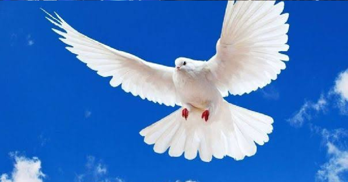 Şans oyunları vergisi 2010'dan bu yana ilk kez hedefin çok altında kaldı – İş-Yaşam Haberleri