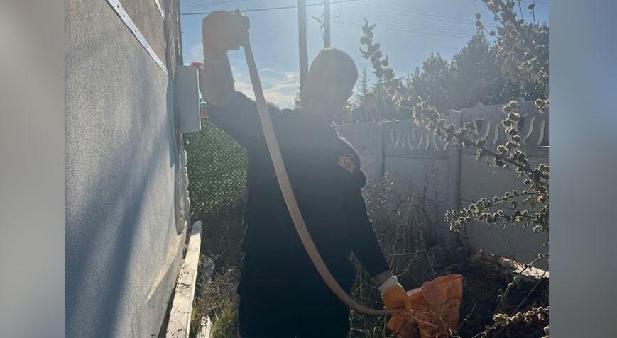 2 metre uzunluğunda yılan! Bahçede büyük panik