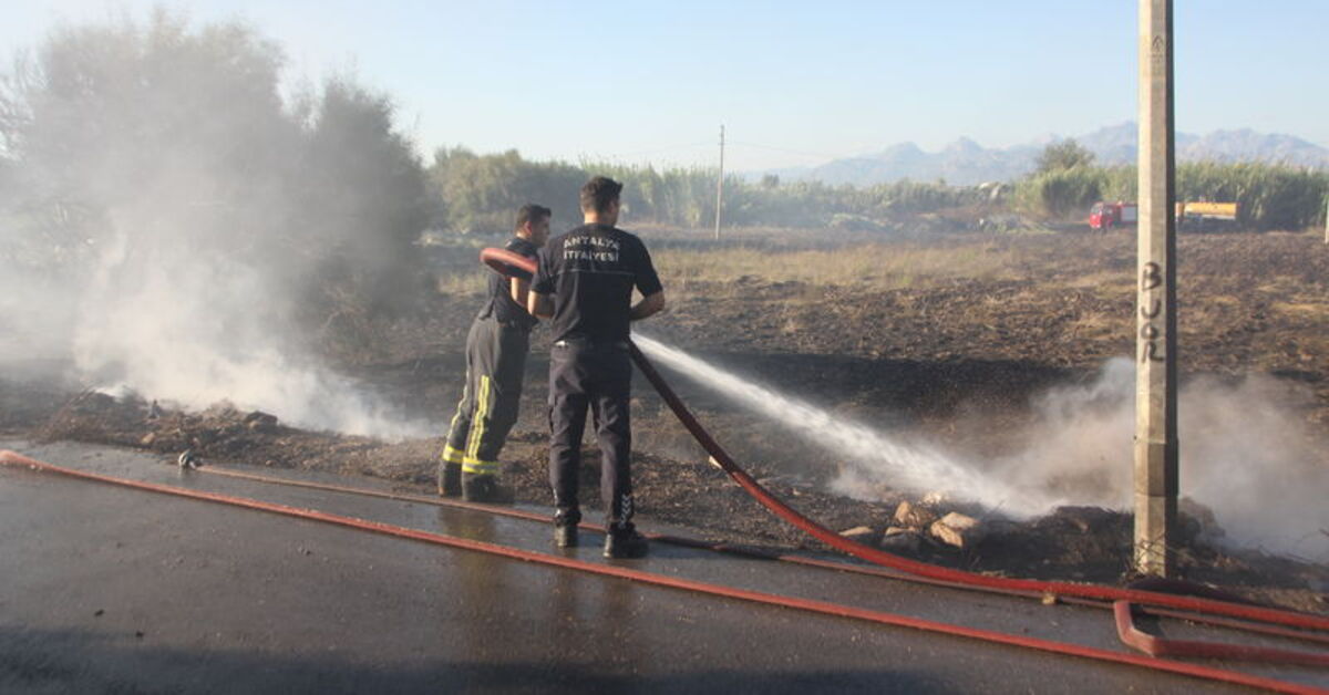 Antalya'da sazlık alanda çıkan yangın söndürüldü – Güncel haberler