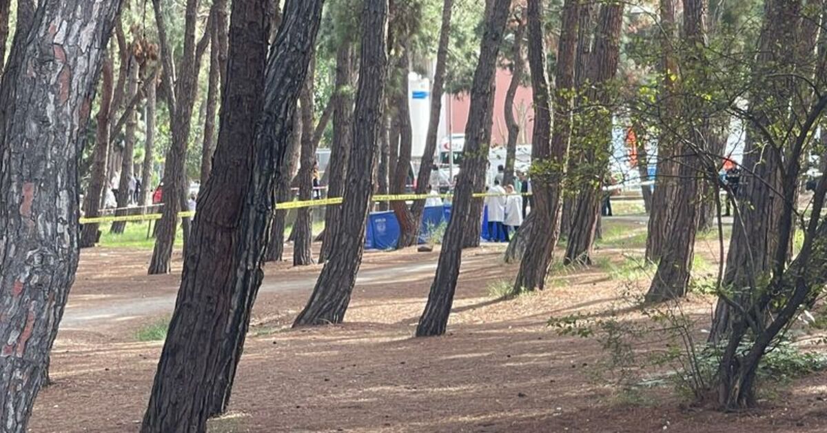 Bir kadın daha… Bakırköy Ruh Sinir Hastanesi'nin bahçesinde cinayet! | Son dakika haberleri