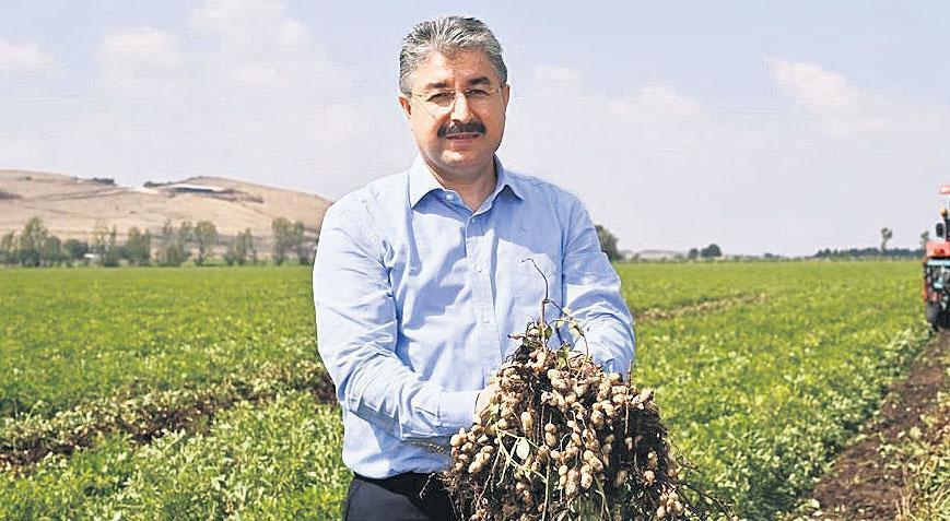 Fıstık ihracatında artış beklentisi